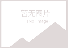 包头青山沙砾邮政有限公司